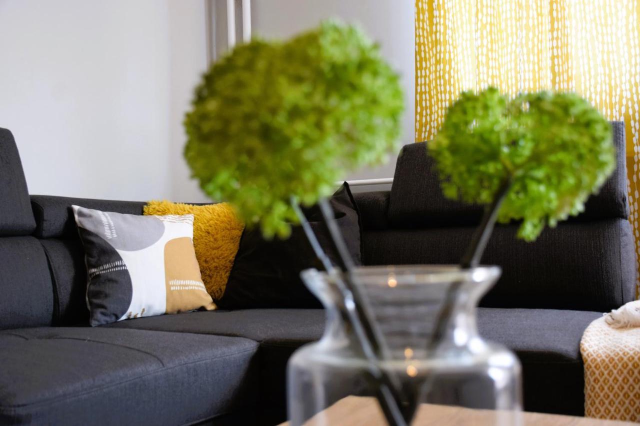 Appartement Shine